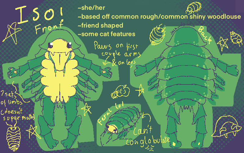 A reference image with 2 fullbody drawings; the front and back of an anthropomorphic green woodlouse, with a yellow front.
Doodles of woodlice and stars surround her, and text bullet points read:
She/Her, Based of common rough/common shiny woodlouse, Friend shaped, Some cat features, Paws on first couple arms and on legs, 7 sets of limbs (doesn’t super matter), Can't conglobulate :(